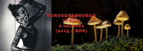 таблы Лиски