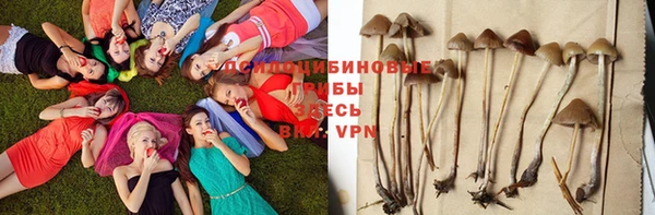 mdma Лагань