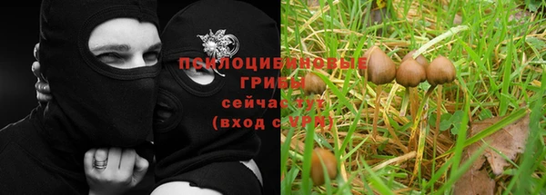 таблы Лиски