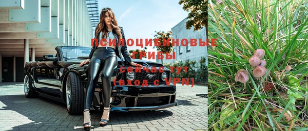 таблы Лиски